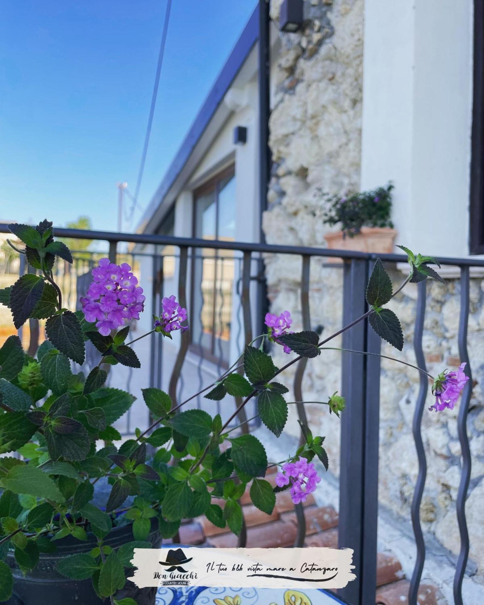 Don Giacchi Country House Катандзаро Екстериор снимка