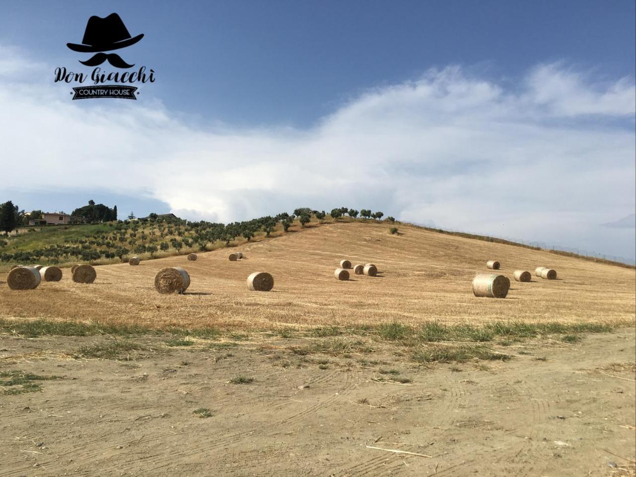 Don Giacchi Country House Катандзаро Екстериор снимка